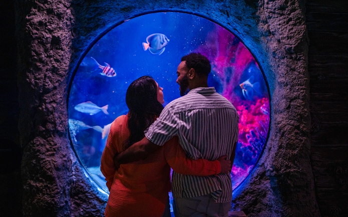 Couple viewing fish through a porthole at Shipwreck Bubble, Sea Life Orlando.