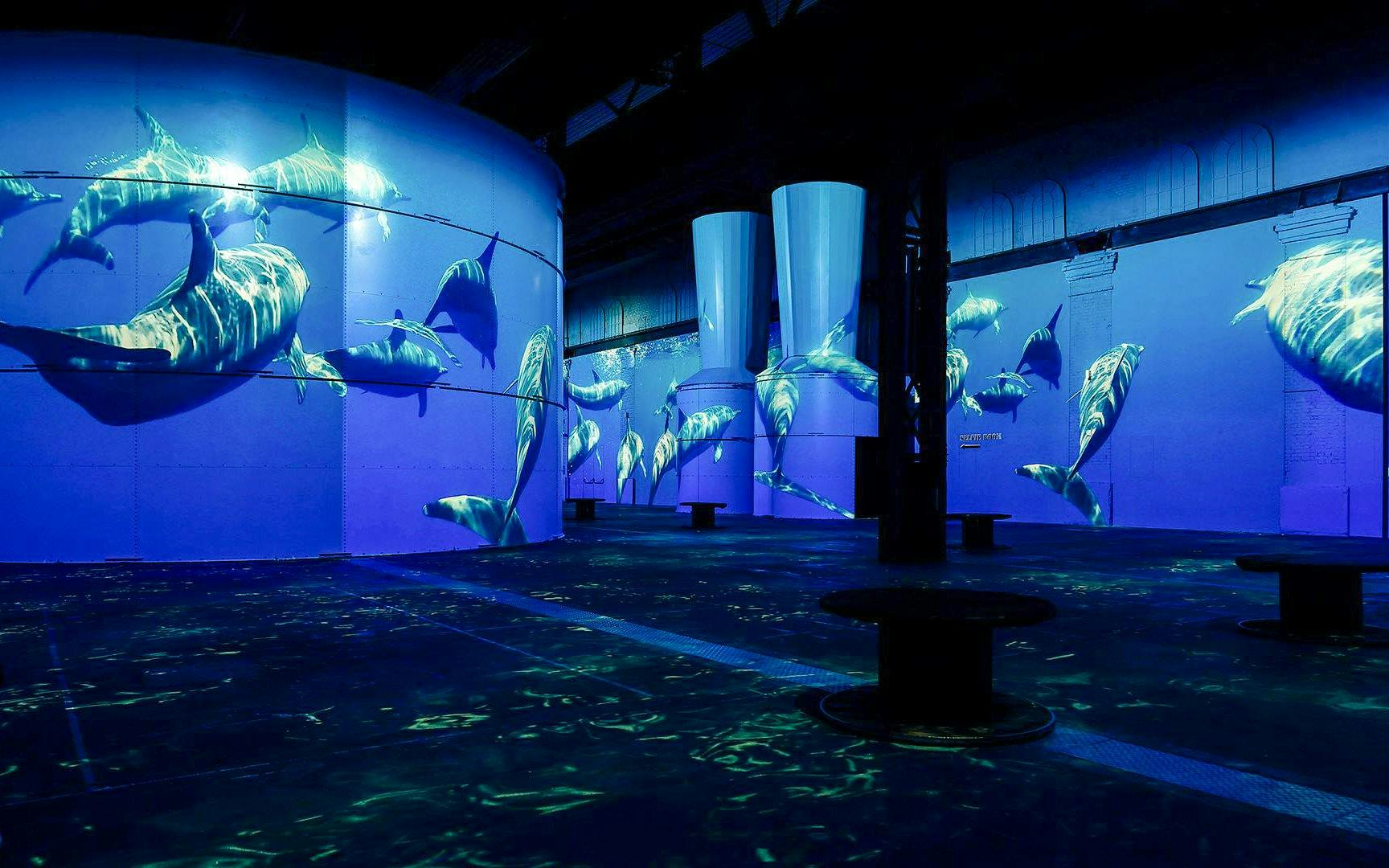 dortmund: phoenix des lumières giriş biletleri - küçük prens-3