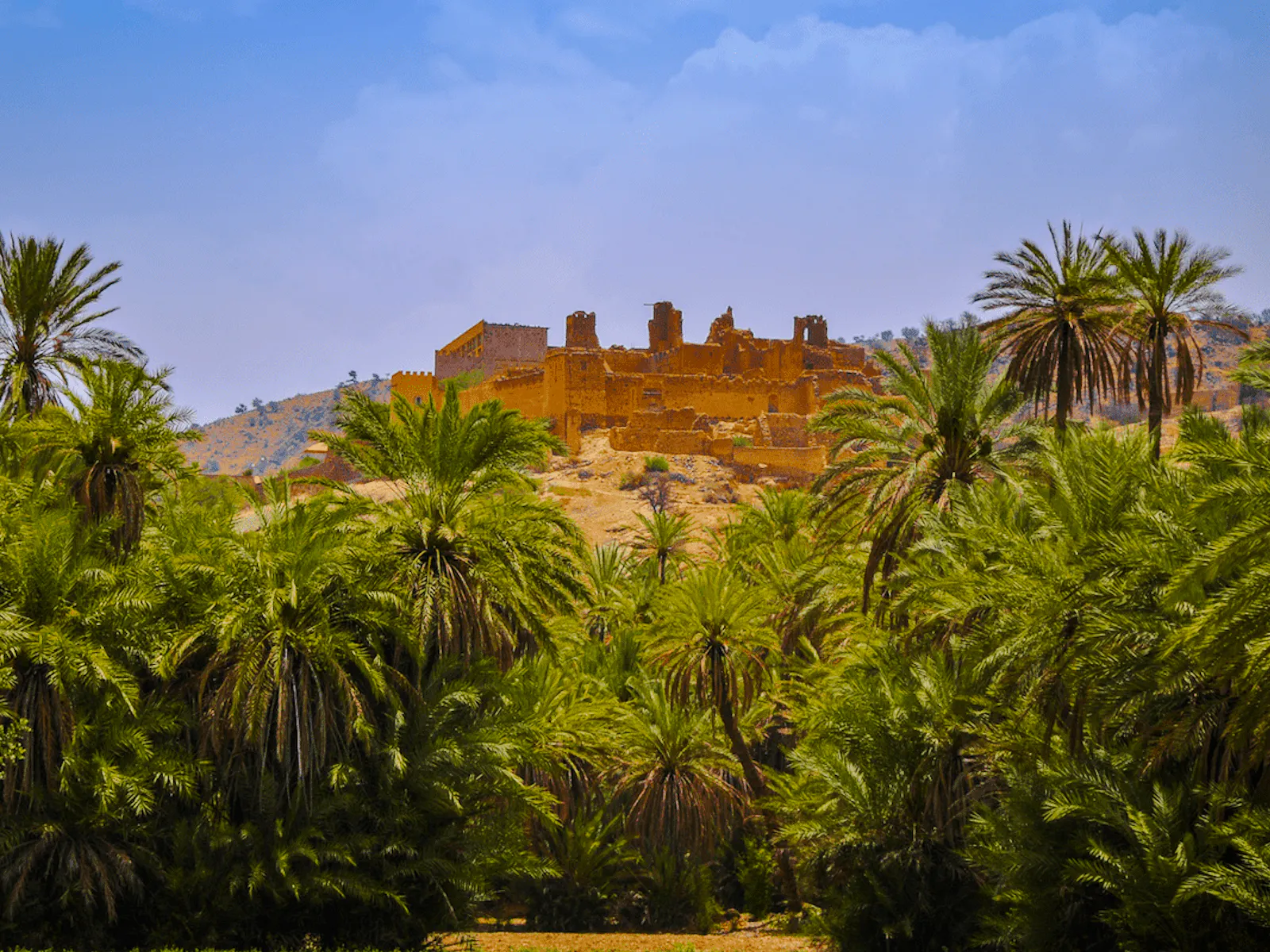 from taghazout: taroudant and tiout oasis day trip with lunch-1