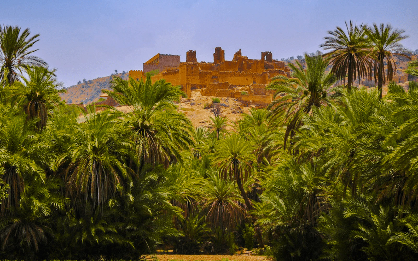 From Taghazout: Taroudant and Tiout Oasis Day Trip with Lunch