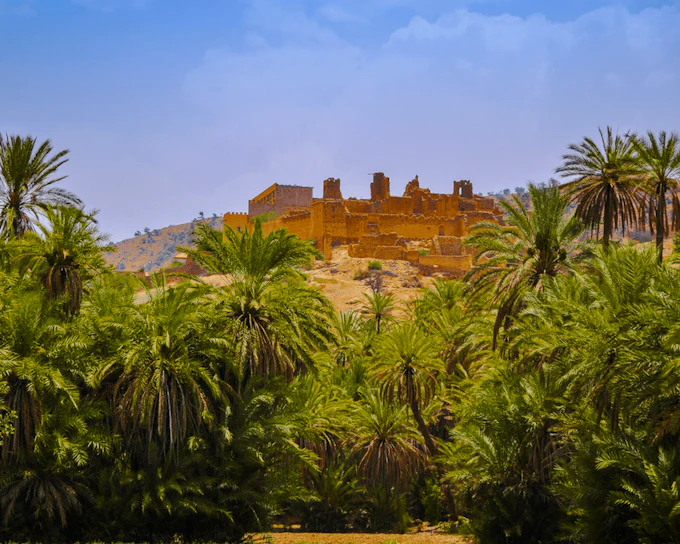 From Taghazout: Taroudant and Tiout Oasis Day Trip with Lunch