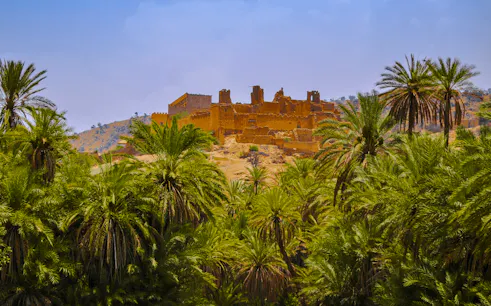 from taghazout: taroudant and tiout oasis day trip with lunch-1