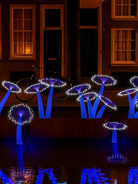 Illuminated art installation resembling mushrooms at Amsterdam Light Festival cruise.