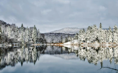 Snow-covered trees reflected in Plitvice Lakes, Croatia, during winter.