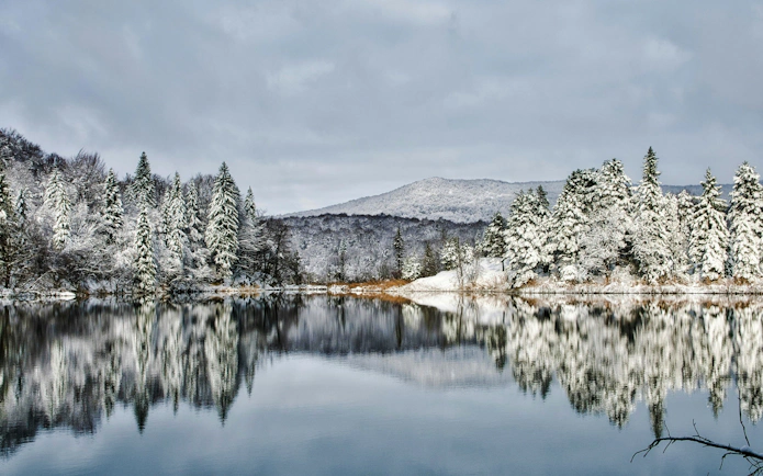 Snow-covered trees reflected in Plitvice Lakes, Croatia, during winter.