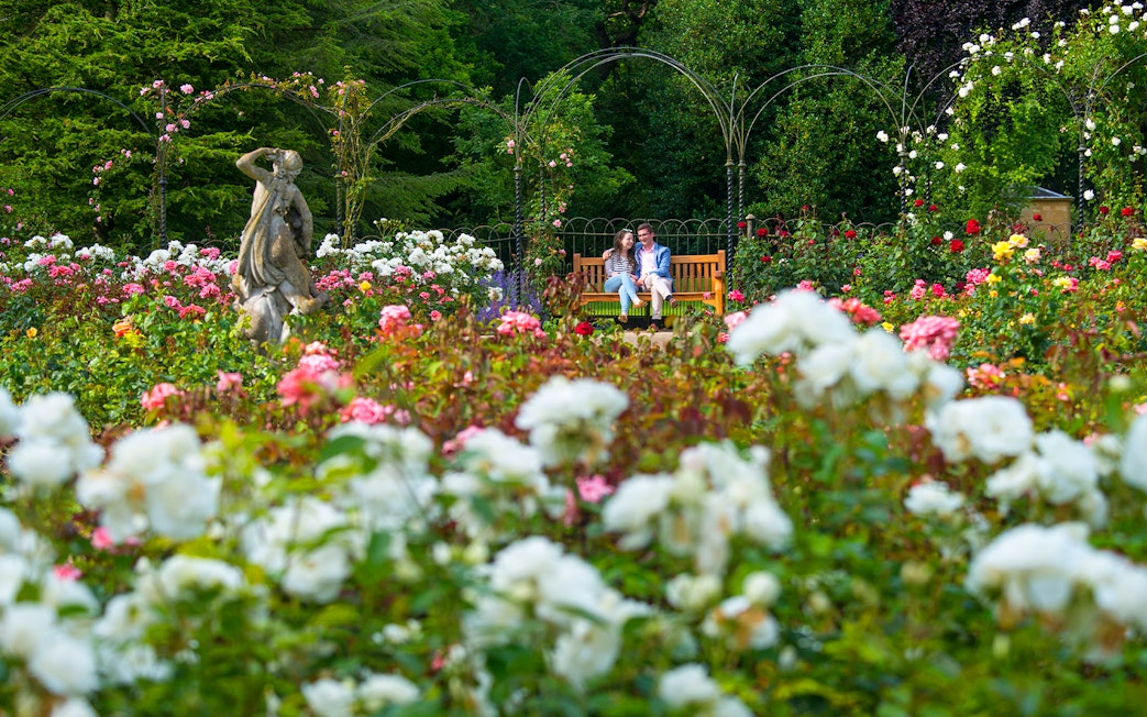Visitors sitting on a bench in a formal garden surrounded by blooming roses and a statue.