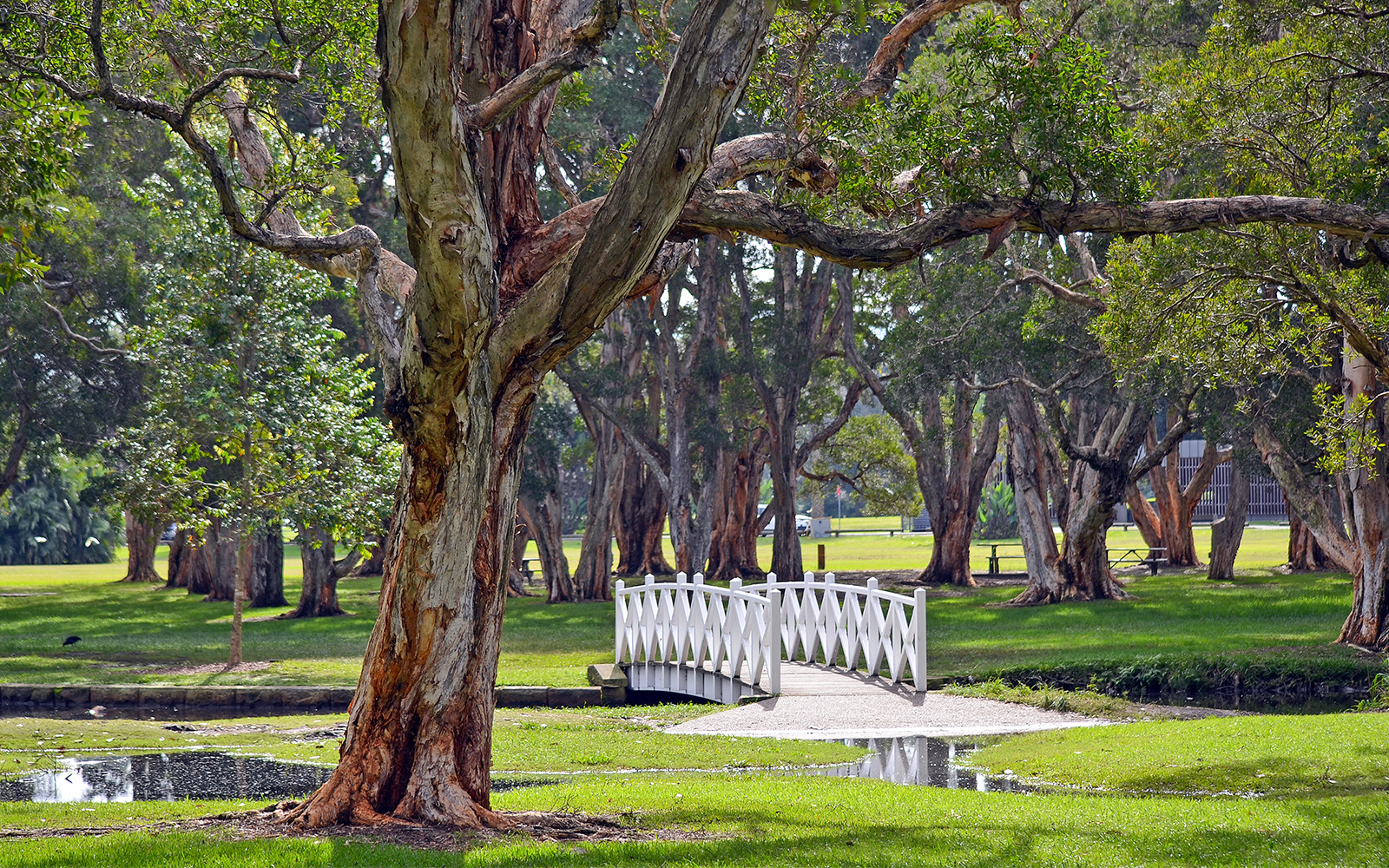 Centennial Parklands