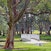 Centennial Parklands