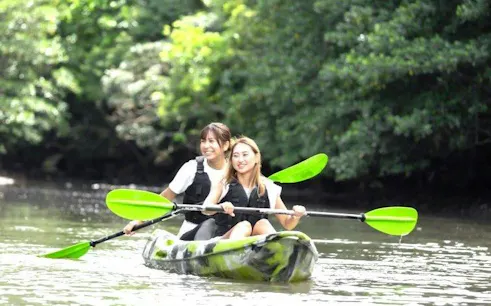 Two people canoeing through mangroves on Iriomote Barasu Island, Okinawa.