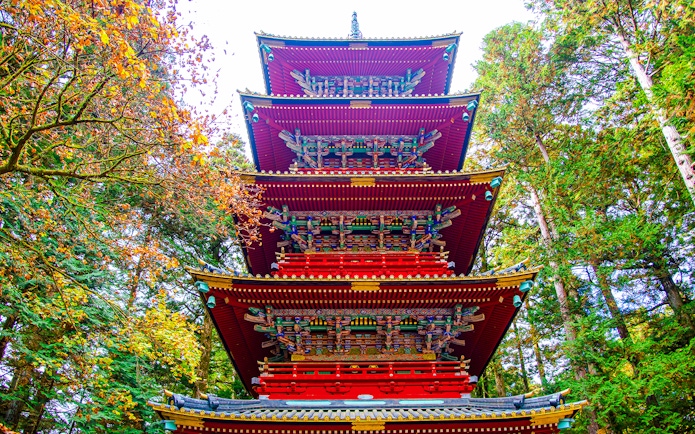 Five Storeys Pagoda at Toshogu Shrine surrounded by trees in Nikko, Japan.