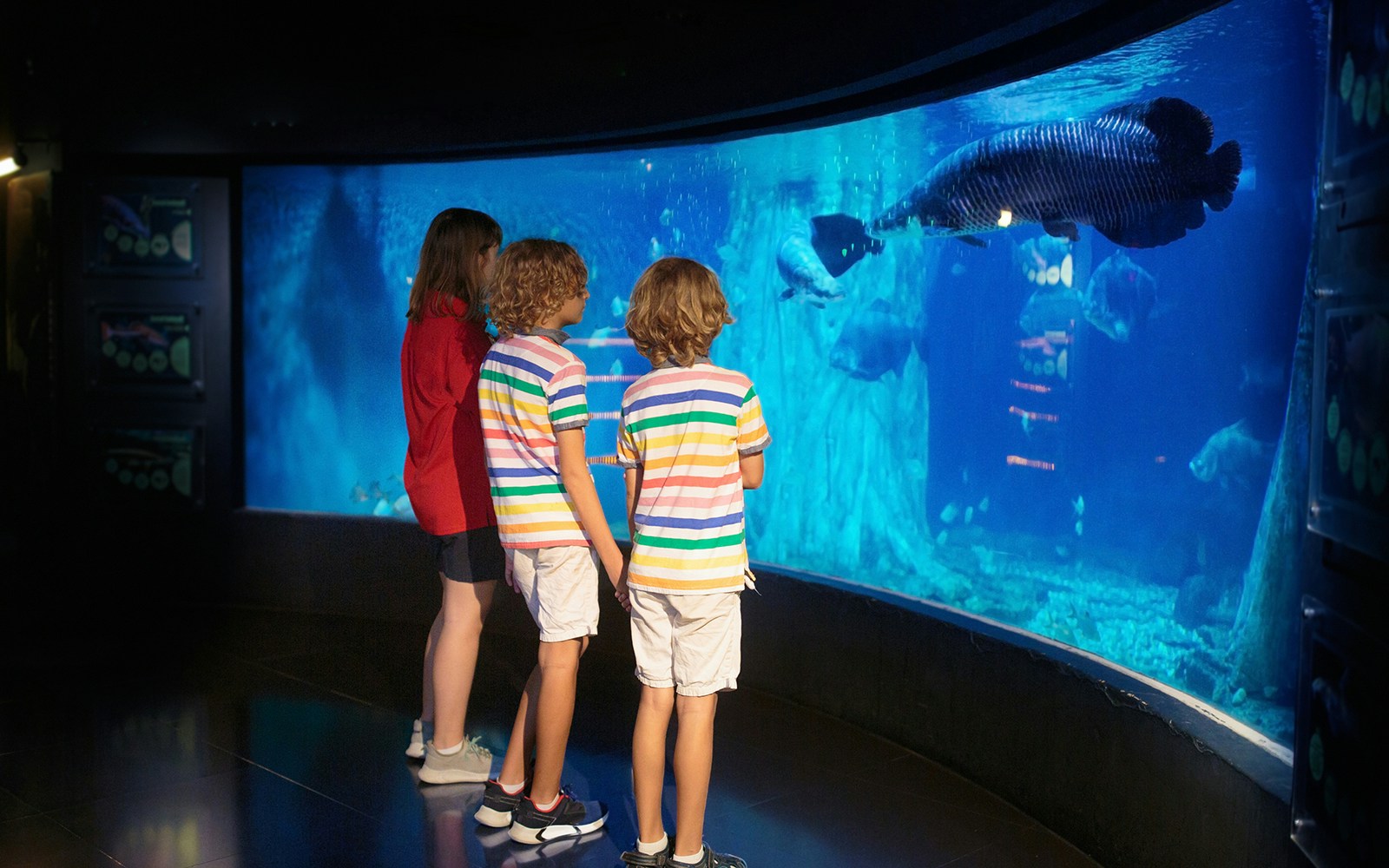 ring-shaped tank at Gardaland sealife