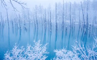 Blue Pond in winter, snow-covered trees and water, Biei, Hokkaido.