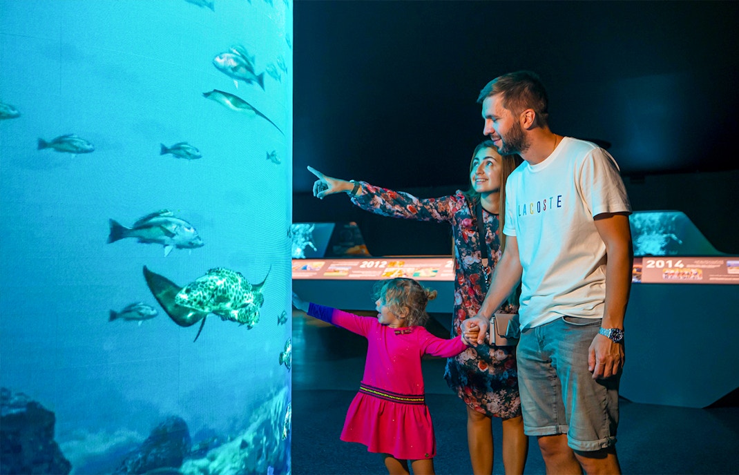 The View At The Palm, Palm Tower tickets