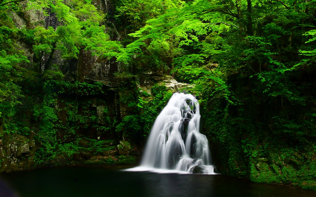 Waterfall surrounded by lush greenery in Mie Prefecture, accessible with Kintetsu Rail Pass.
