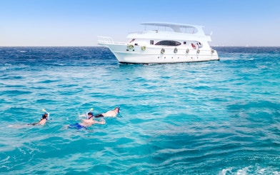 Friends snorkelling in the Red Sea near a boat during Dolphin Watching Tour, Hurghada.