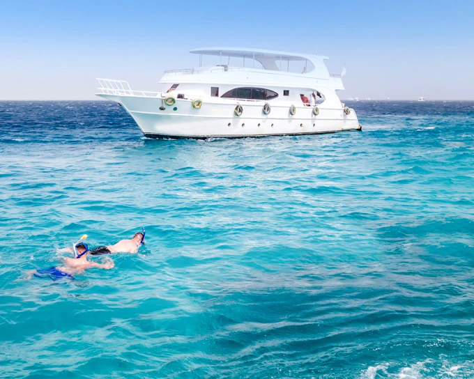 Dolphin House: Dolphin Watching Boat Tour with Snorkeling, Lunch & Optional Transfers