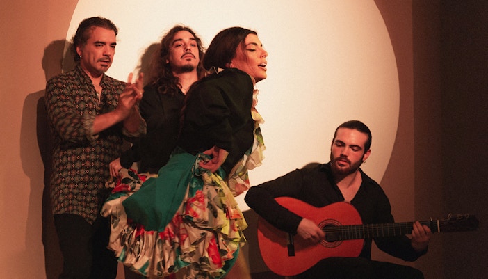 Centro Cultural - Flamenco Show