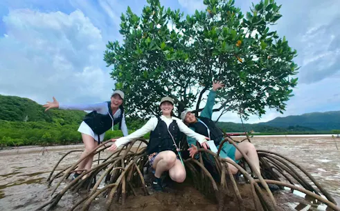 Visitors enjoying Iriomote mangrove tour, Okinawa, with lush greenery and scenic views.