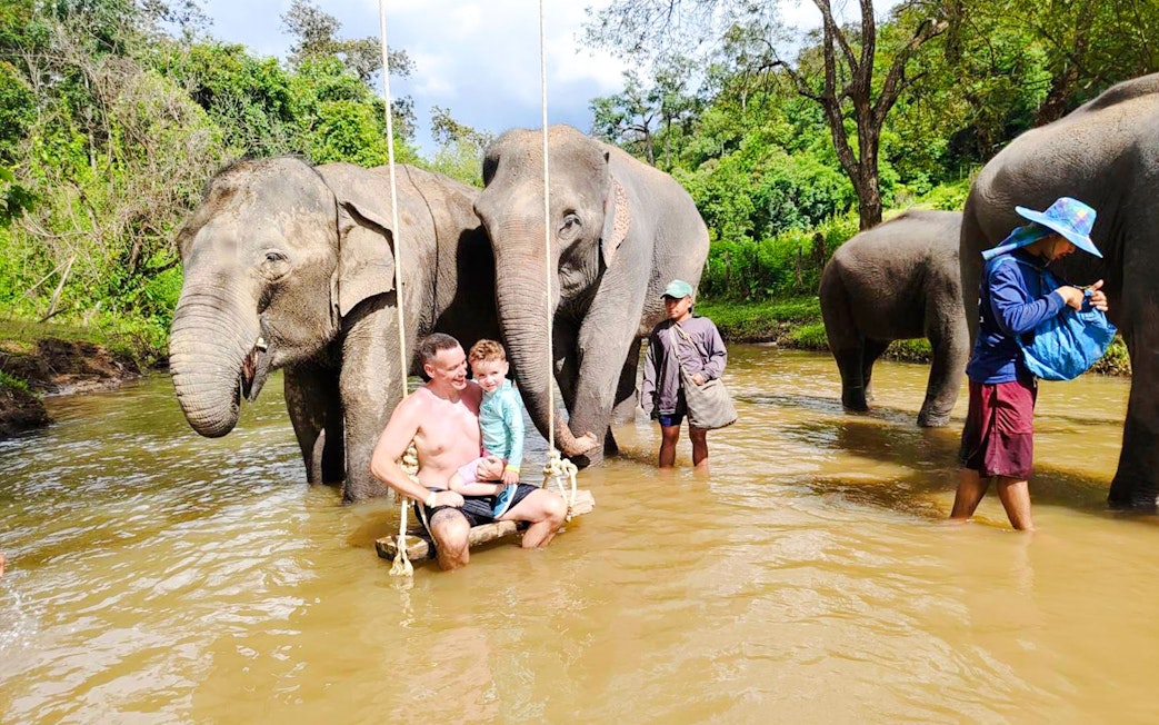 Elephants interacting with visitors in a river at Chiang Mai Elephant Sanctuary.