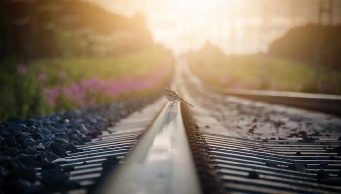 directions to gatorland