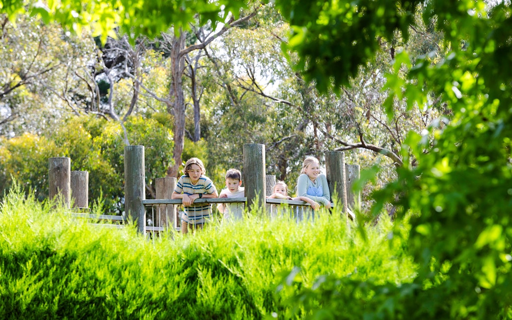 Family exploring Aschombe Maze & Lavender Gardens, surrounded by lush greenery.