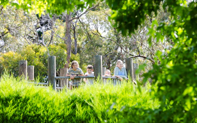 Family exploring Aschombe Maze & Lavender Gardens, surrounded by lush greenery.
