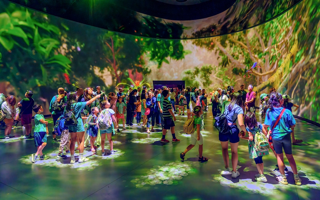 Visitors exploring immersive exhibit at American Museum of Natural History.