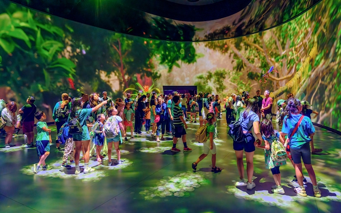 Visitors exploring immersive exhibit at American Museum of Natural History.