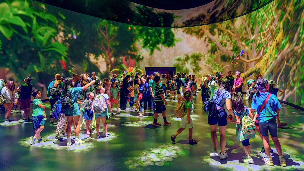 American Museum of Natural History