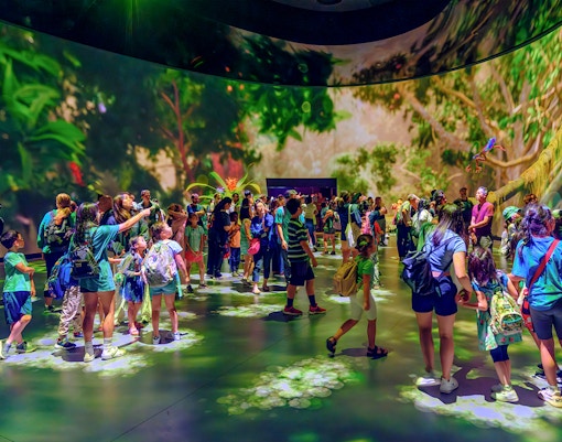 Invisible Worlds in American Museum of Natural History