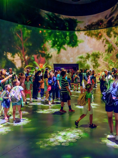 Visitors exploring immersive exhibit at American Museum of Natural History.