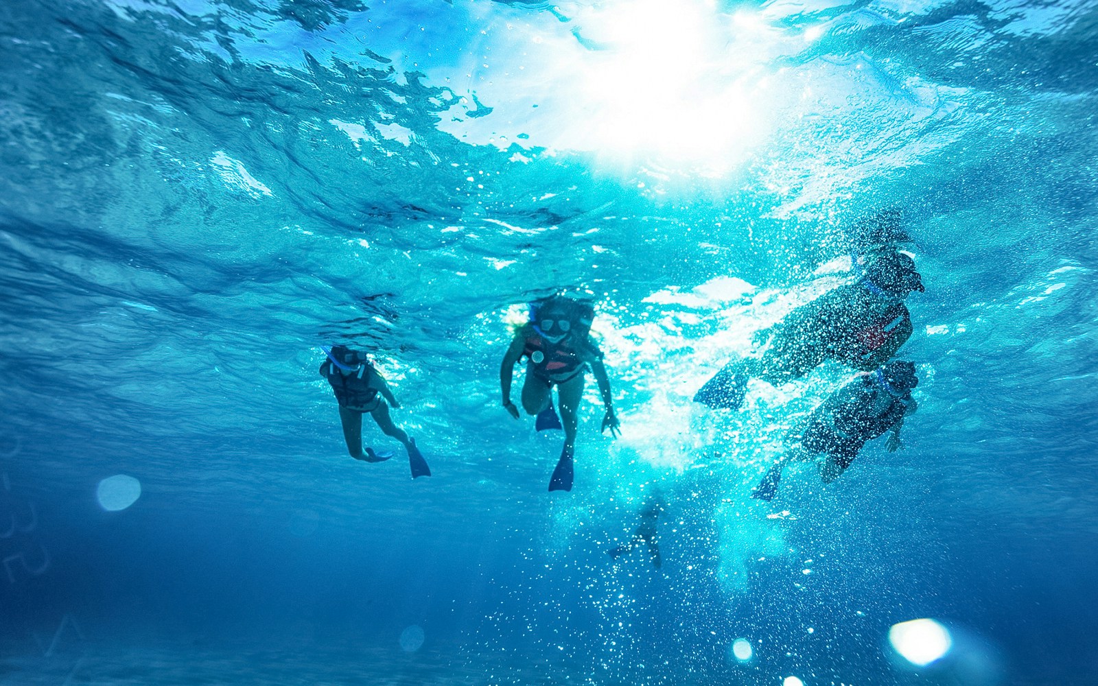 Snorkelers exploring underwater near Isla Mujeres on a catamaran tour.
