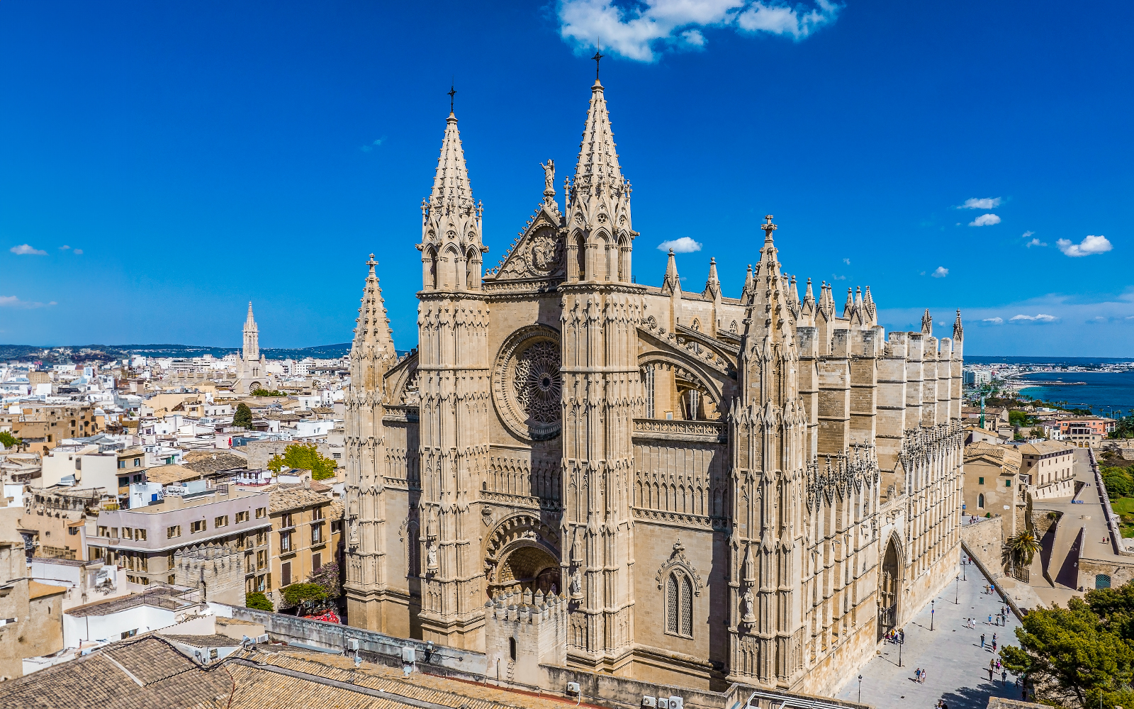 Mallorca Cathedral with gothic architecture in Palma, overlooking the city and sea.