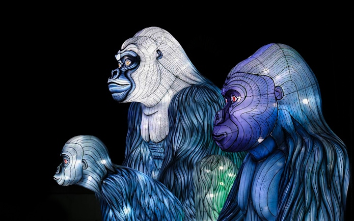 Gorilla light sculptures at Vivid Cruises Sydney on Glass Boat.