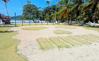 Isla Mamey beach with palm trees and ocean view, part of Panama City tour.