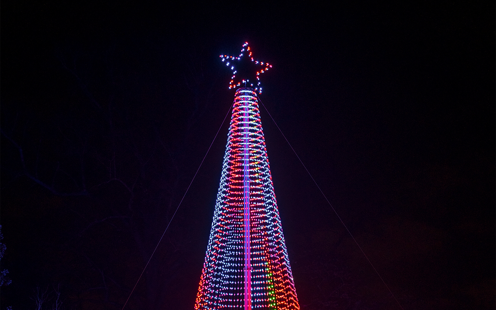 Christmas light display shaped like a tree with a star at Kew Gardens.