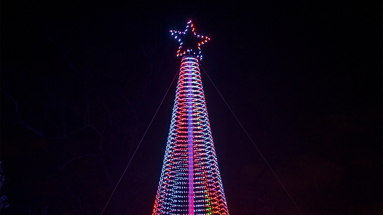 Kew Gardens Christmas
