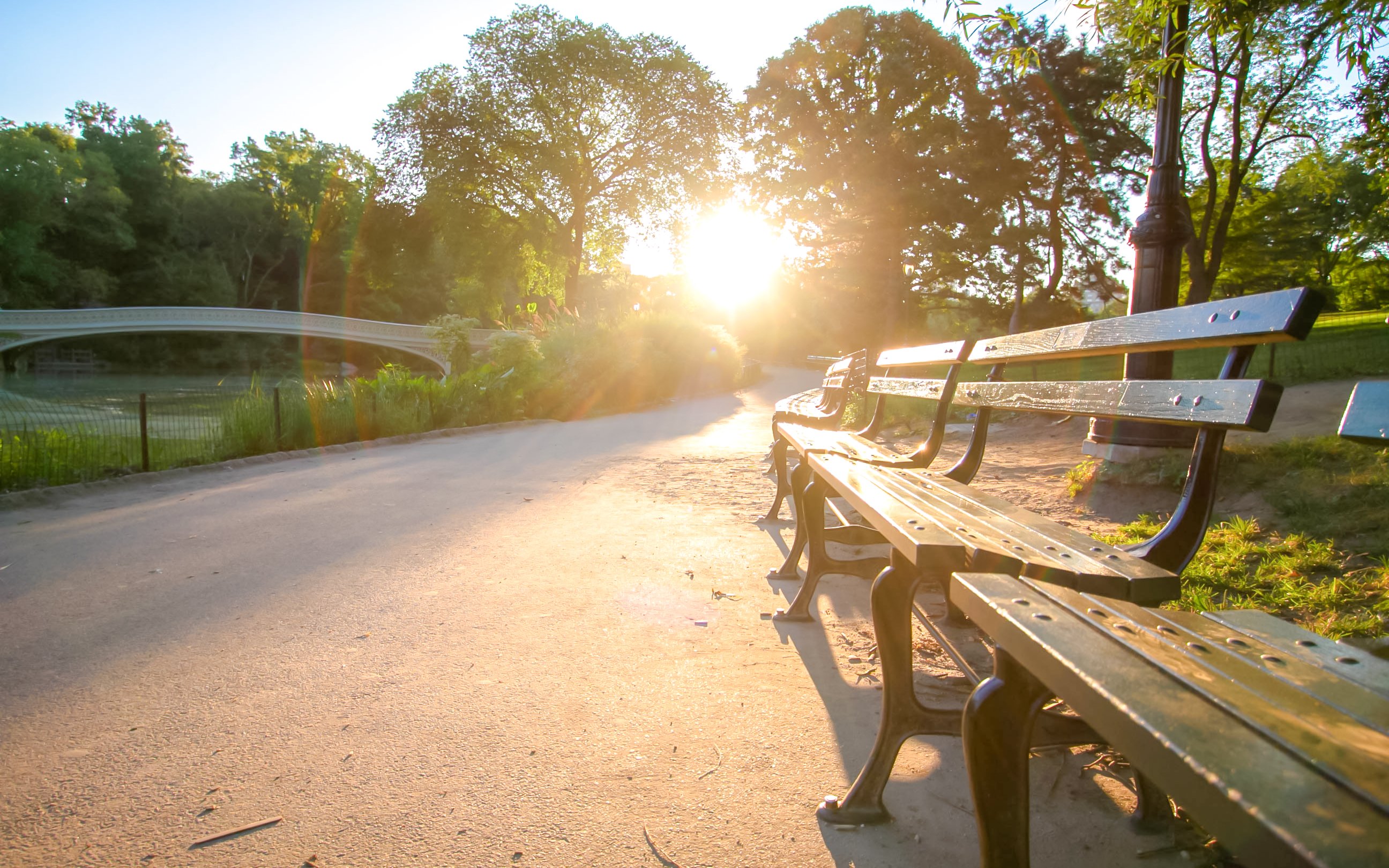 Park bench along a sunlit walkway in Central Park, New York City.