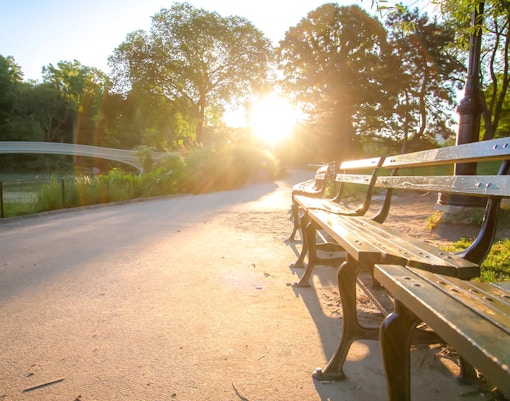 Park bench along a sunlit walkway in Central Park, New York City.