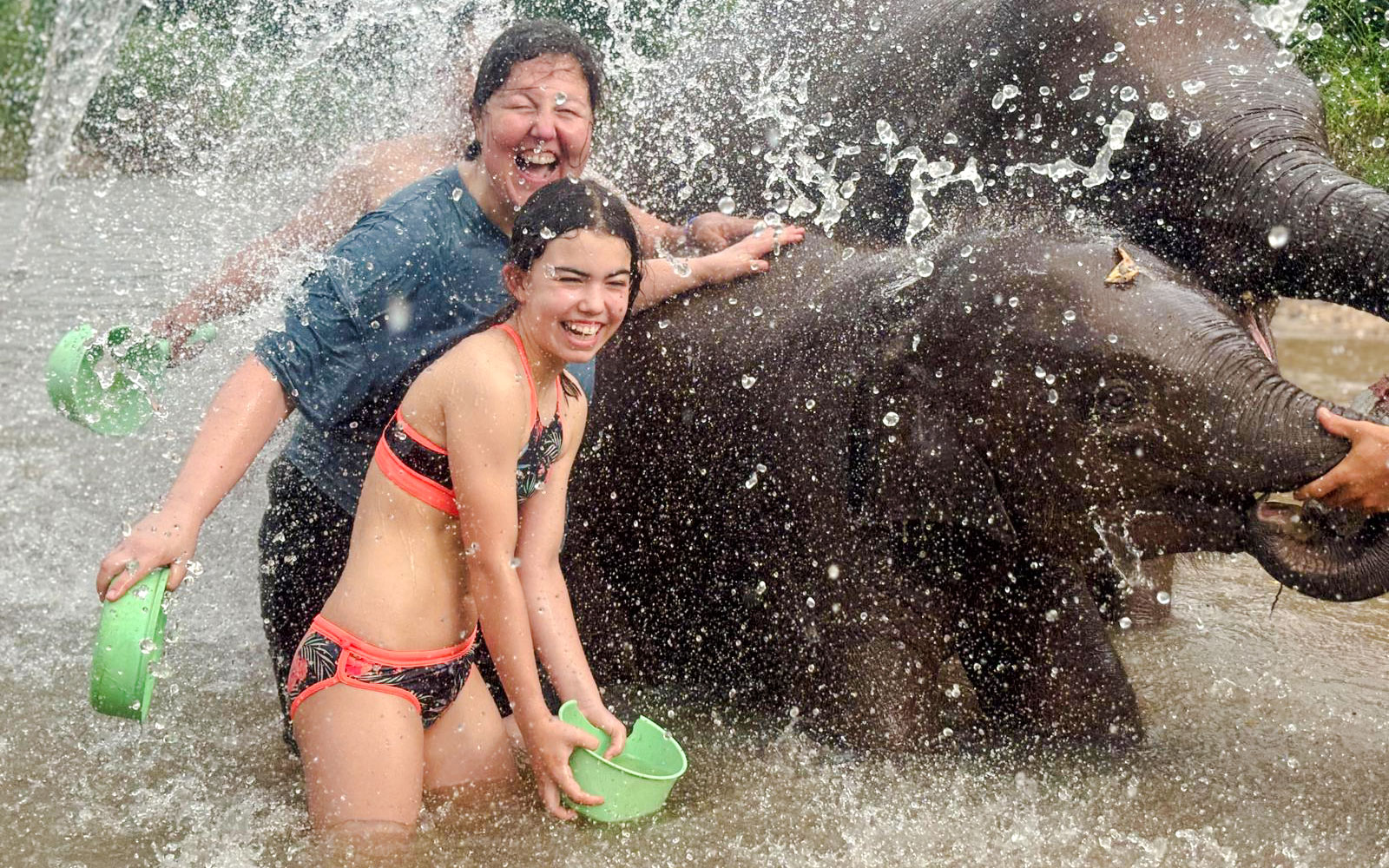 Visitors enjoying a water activity with elephants at Chiang Mai Elephant Sanctuary.