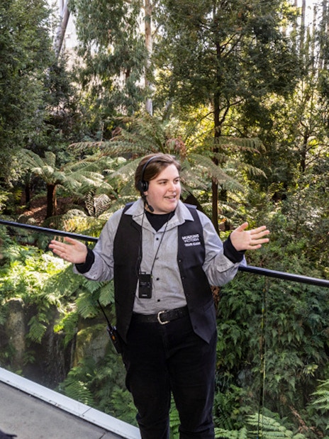 Tour guide explaining exhibits to visitors at Melbourne Museum.
