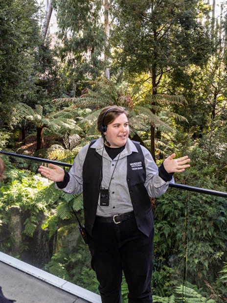 Tour guide explaining exhibits to visitors at Melbourne Museum.