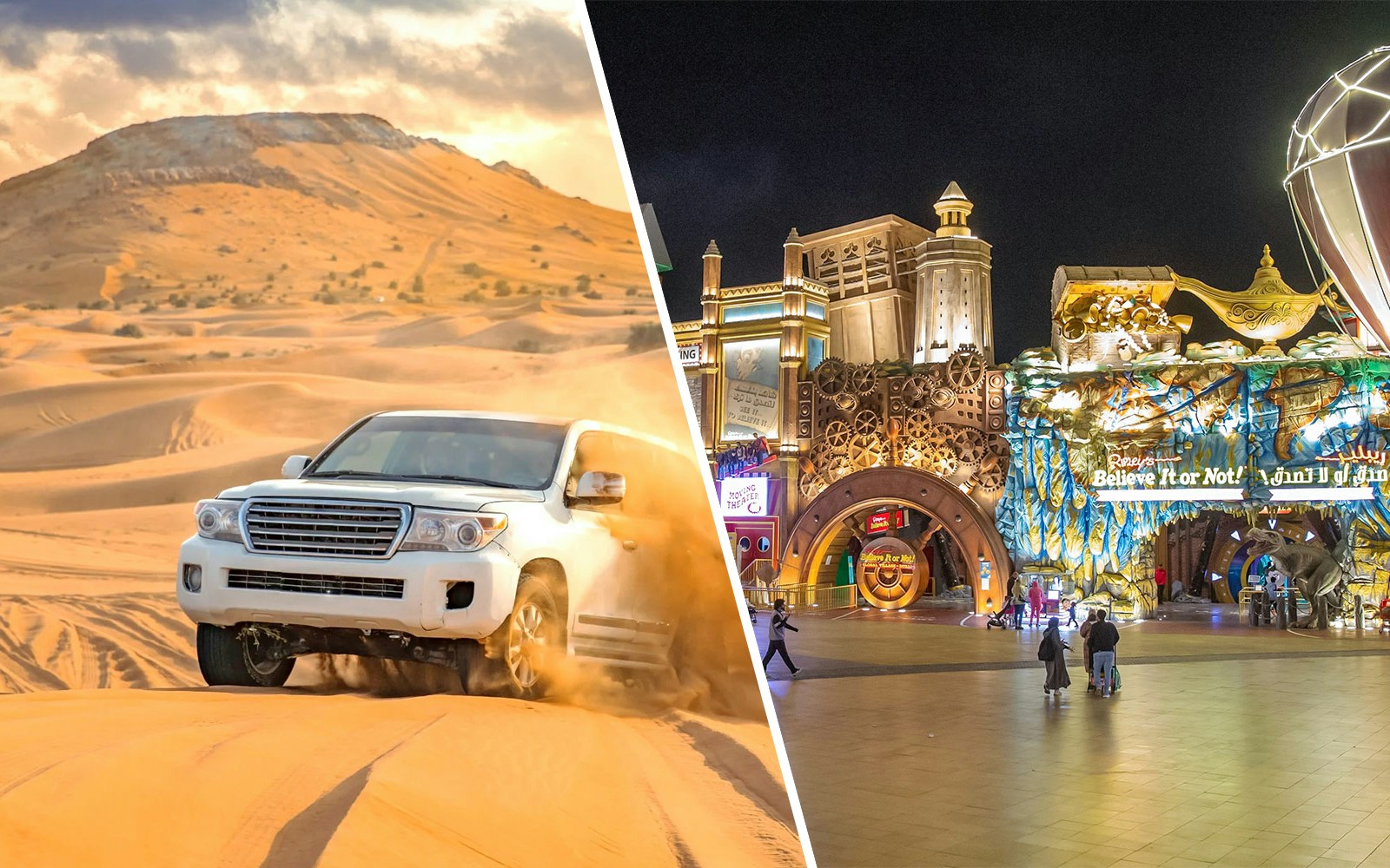 Safari nel deserto e viste notturne