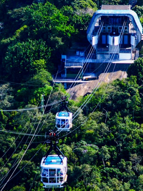 Cable car ascending Sugarloaf Mountain, Rio de Janeiro, surrounded by lush greenery.