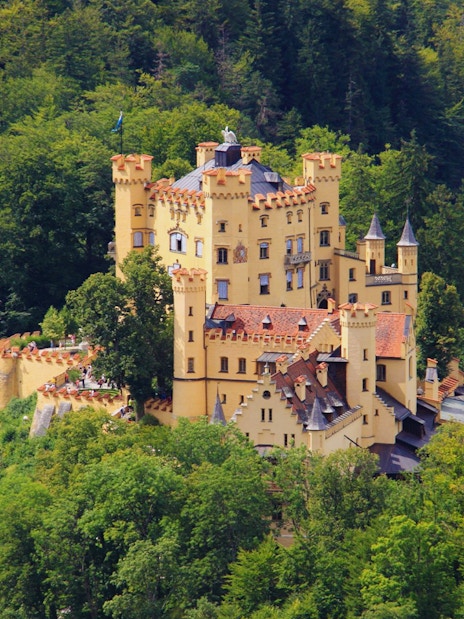 Hohenschwangau Castle surrounded by lush forest, part of the Neuschwanstein and Linderhof excursion.