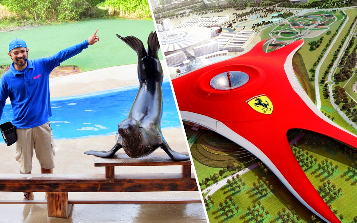Sea lion performing with trainer at a marine park and aerial view of Ferrari World Abu Dhabi.