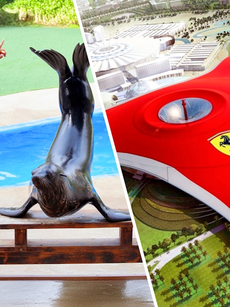 Sea lion performing with trainer at a marine park and aerial view of Ferrari World Abu Dhabi.