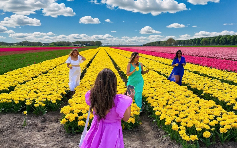 Guests exploring vibrant tulip fields during a small group tour.