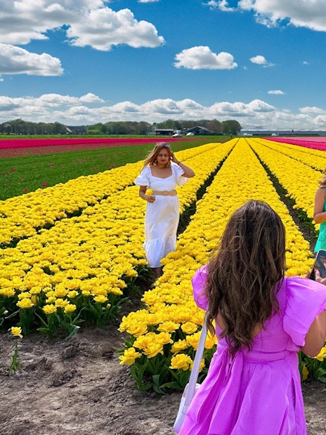 Guests exploring vibrant tulip fields during a small group tour.