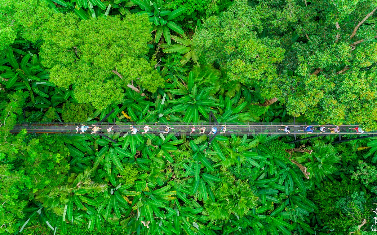 Aerial view of tourists on a canopy walkway in Hanuman World, Phuket.